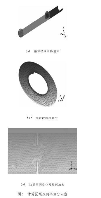 圖 5 計算區域及網格劃分示意
